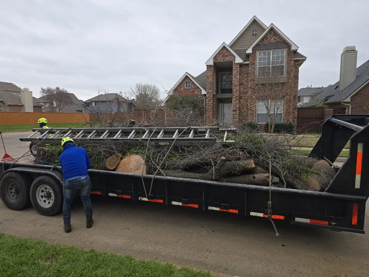 Expert Tree Removal with proper safety equipment in Gilman City